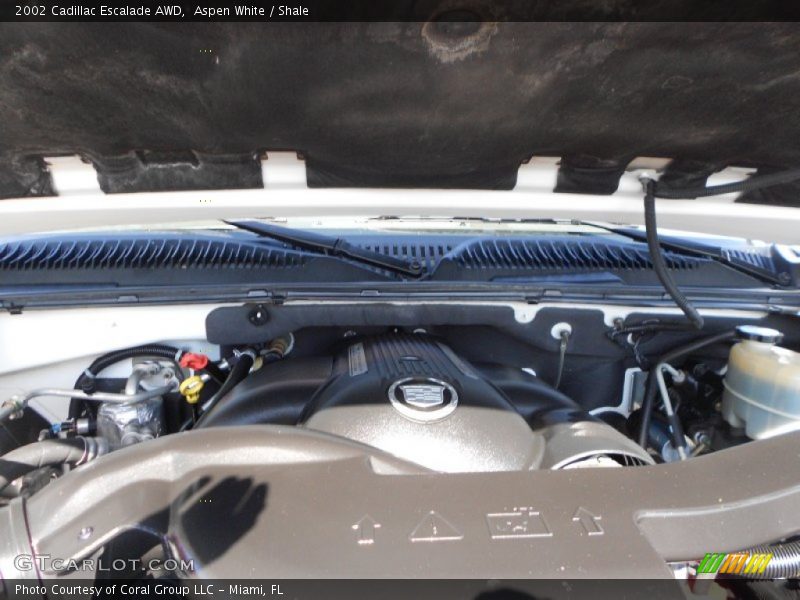 Aspen White / Shale 2002 Cadillac Escalade AWD