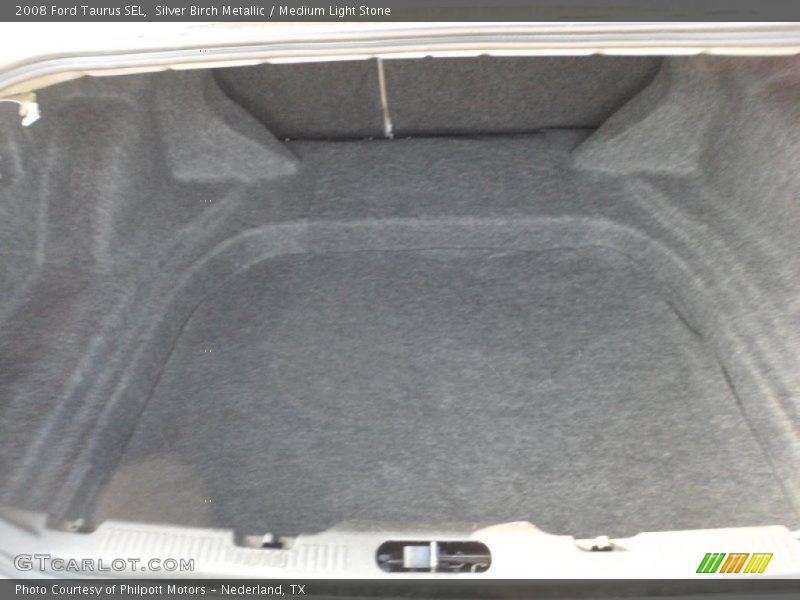 Silver Birch Metallic / Medium Light Stone 2008 Ford Taurus SEL