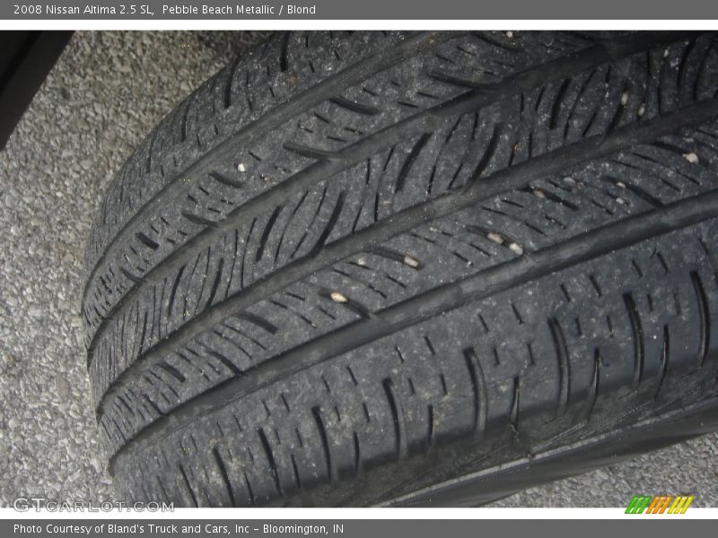 Pebble Beach Metallic / Blond 2008 Nissan Altima 2.5 SL