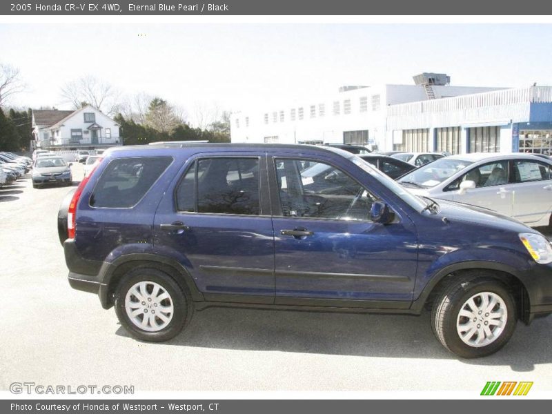 Eternal Blue Pearl / Black 2005 Honda CR-V EX 4WD