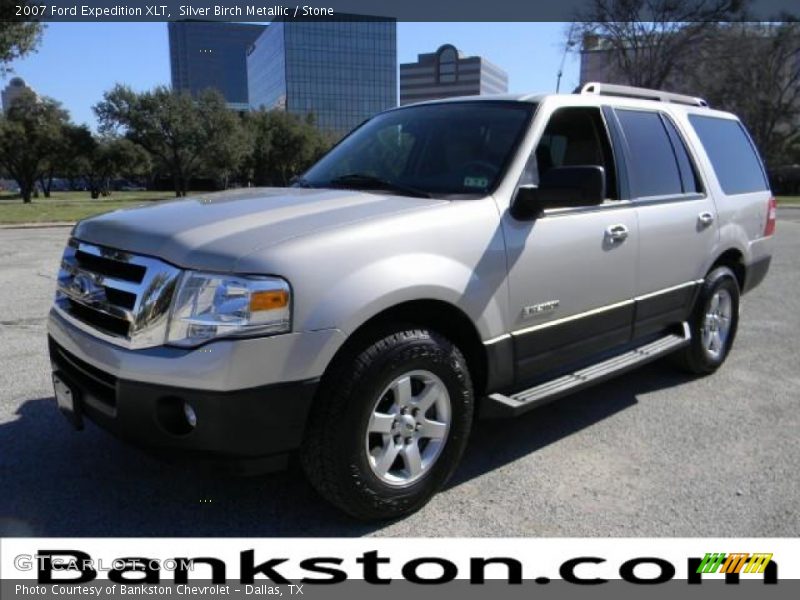 Silver Birch Metallic / Stone 2007 Ford Expedition XLT