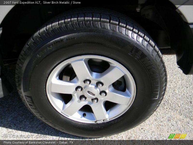 Silver Birch Metallic / Stone 2007 Ford Expedition XLT