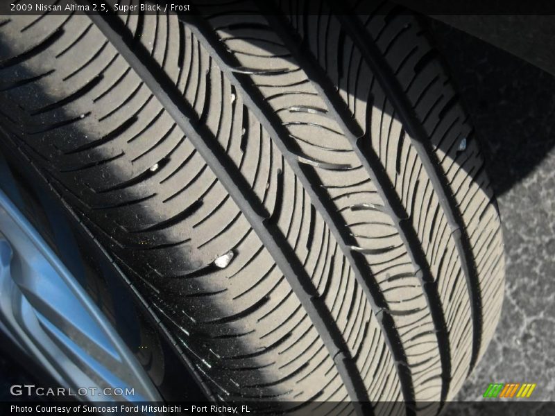 Super Black / Frost 2009 Nissan Altima 2.5