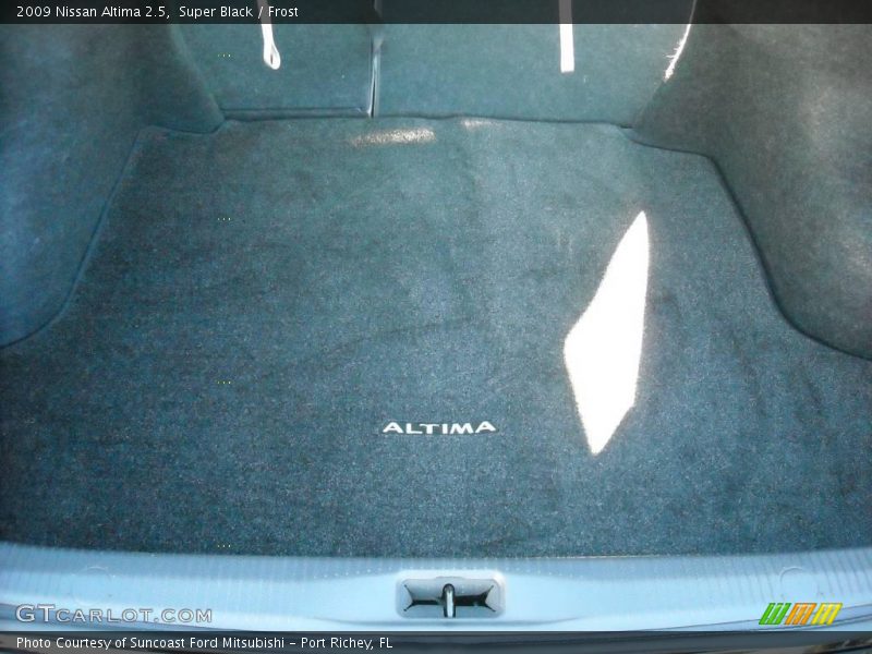 Super Black / Frost 2009 Nissan Altima 2.5