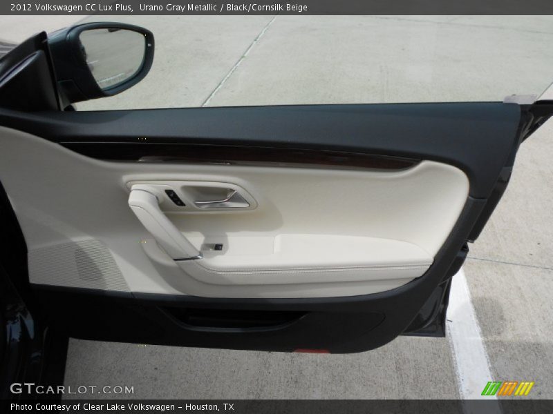 Door Panel of 2012 CC Lux Plus