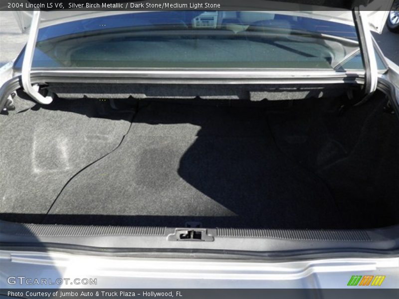 Silver Birch Metallic / Dark Stone/Medium Light Stone 2004 Lincoln LS V6
