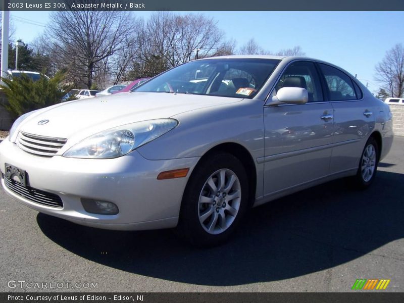 Alabaster Metallic / Black 2003 Lexus ES 300