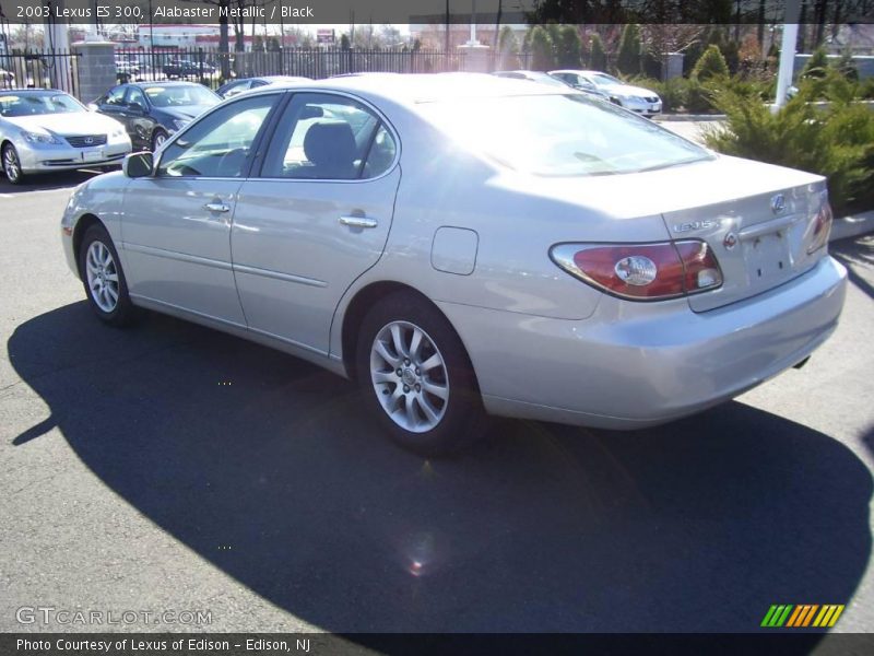 Alabaster Metallic / Black 2003 Lexus ES 300