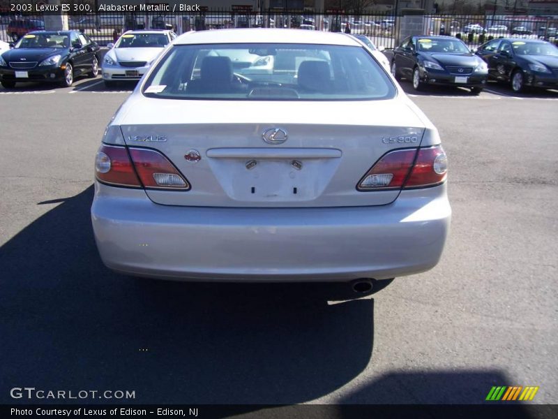 Alabaster Metallic / Black 2003 Lexus ES 300