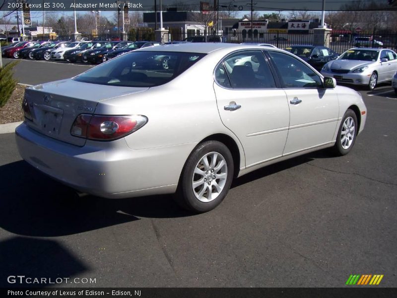 Alabaster Metallic / Black 2003 Lexus ES 300