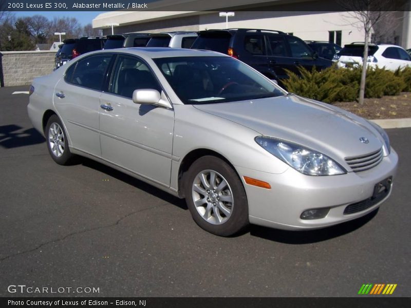 Alabaster Metallic / Black 2003 Lexus ES 300