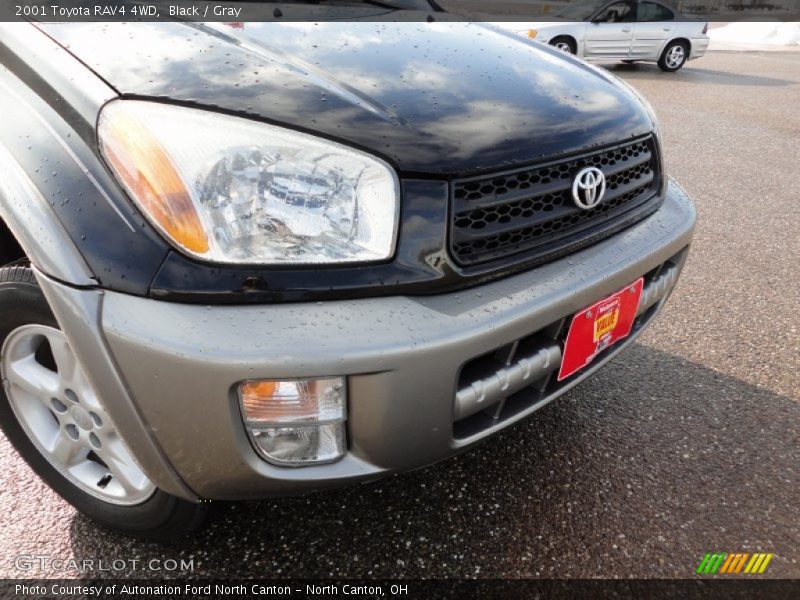 Black / Gray 2001 Toyota RAV4 4WD