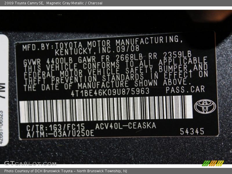 Magnetic Gray Metallic / Charcoal 2009 Toyota Camry SE