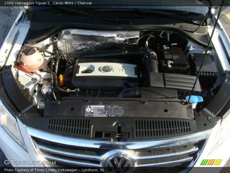 Candy White / Charcoal 2009 Volkswagen Tiguan S
