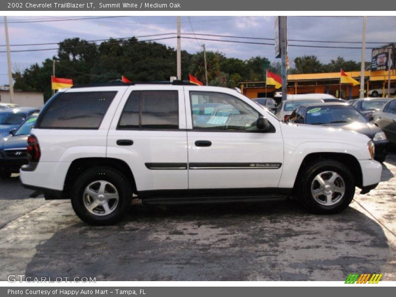 Summit White / Medium Oak 2002 Chevrolet TrailBlazer LT
