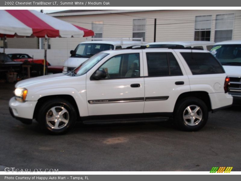 Summit White / Medium Oak 2002 Chevrolet TrailBlazer LT