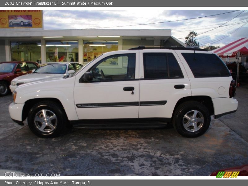 Summit White / Medium Oak 2002 Chevrolet TrailBlazer LT