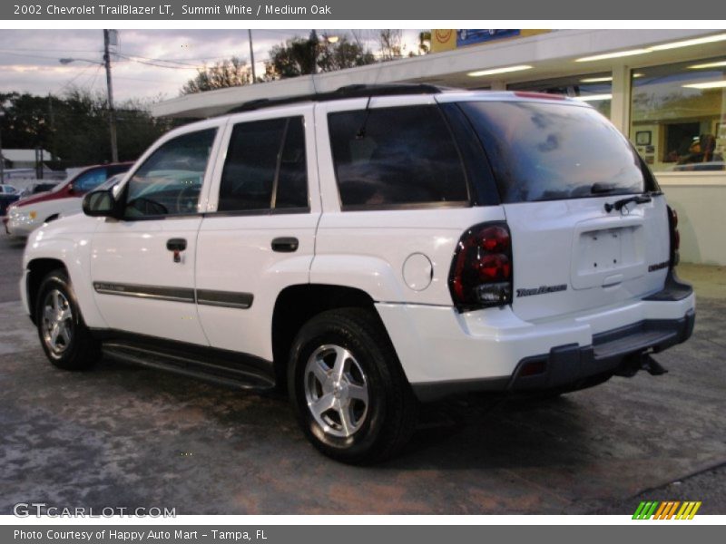 Summit White / Medium Oak 2002 Chevrolet TrailBlazer LT