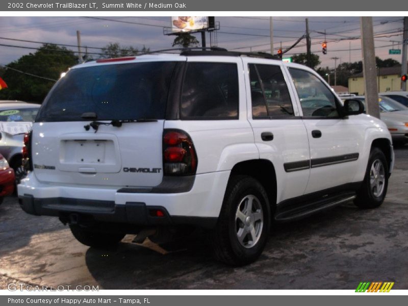 Summit White / Medium Oak 2002 Chevrolet TrailBlazer LT