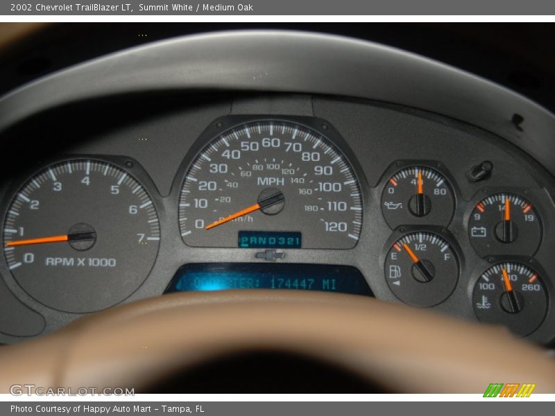 Summit White / Medium Oak 2002 Chevrolet TrailBlazer LT