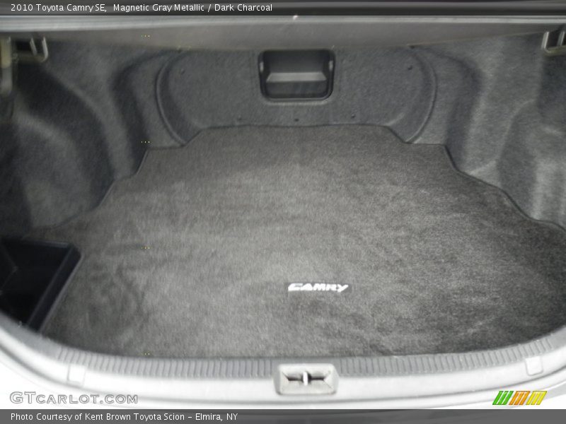 Magnetic Gray Metallic / Dark Charcoal 2010 Toyota Camry SE