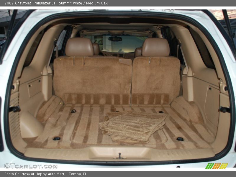 Summit White / Medium Oak 2002 Chevrolet TrailBlazer LT