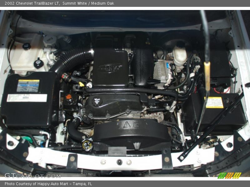 Summit White / Medium Oak 2002 Chevrolet TrailBlazer LT
