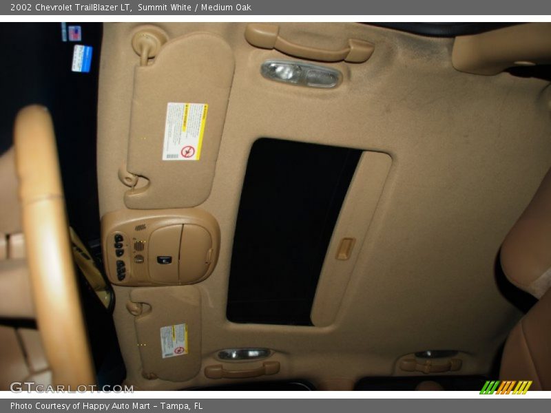 Summit White / Medium Oak 2002 Chevrolet TrailBlazer LT