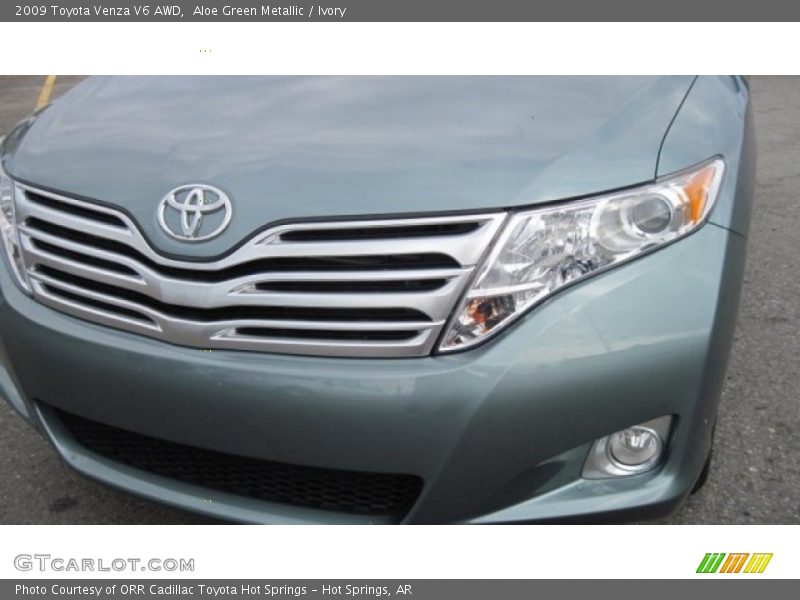 Aloe Green Metallic / Ivory 2009 Toyota Venza V6 AWD