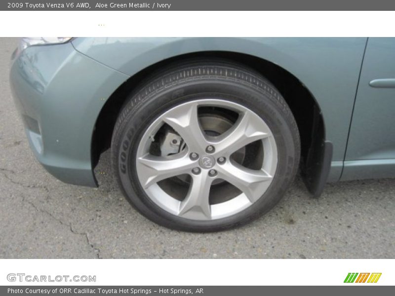 Aloe Green Metallic / Ivory 2009 Toyota Venza V6 AWD