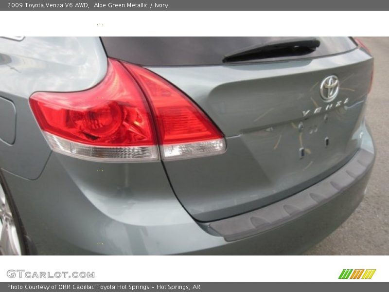 Aloe Green Metallic / Ivory 2009 Toyota Venza V6 AWD