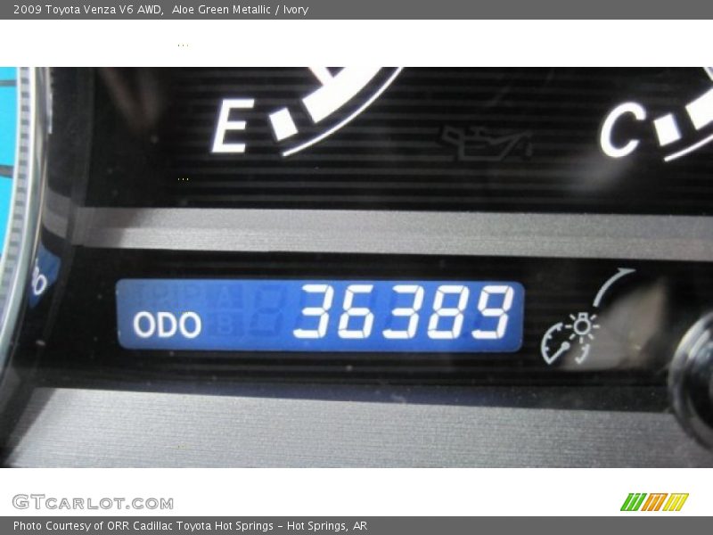 Aloe Green Metallic / Ivory 2009 Toyota Venza V6 AWD