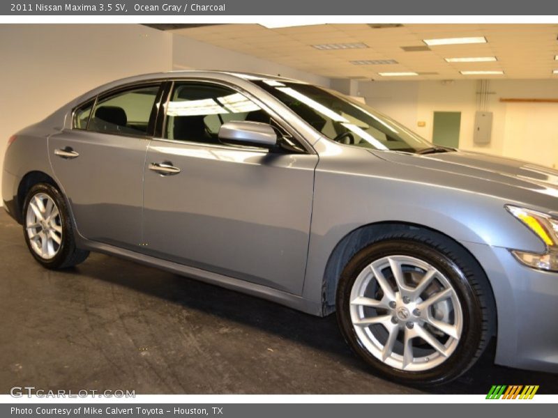Ocean Gray / Charcoal 2011 Nissan Maxima 3.5 SV