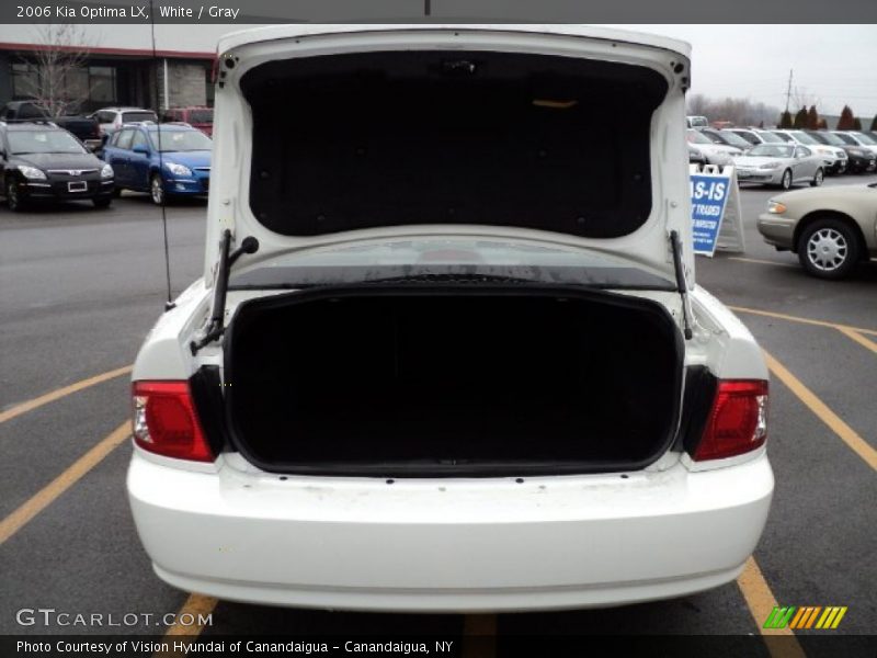 White / Gray 2006 Kia Optima LX