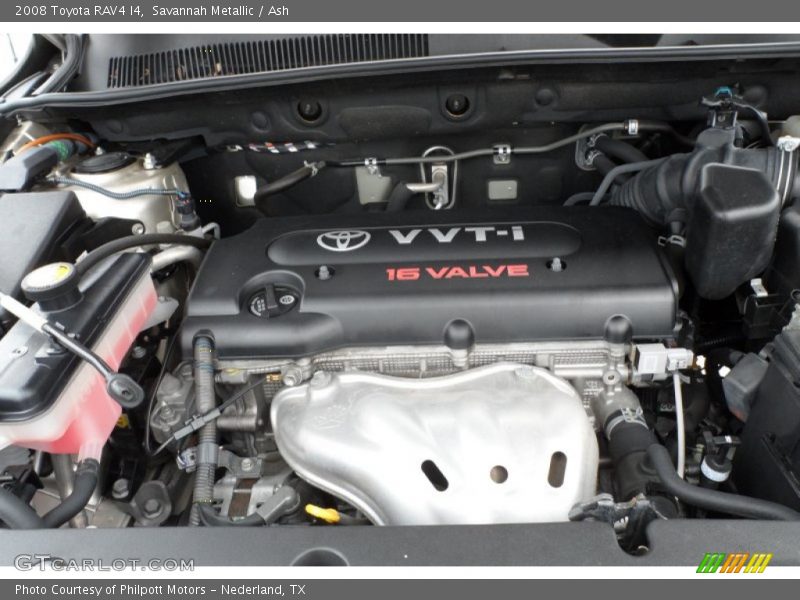Savannah Metallic / Ash 2008 Toyota RAV4 I4