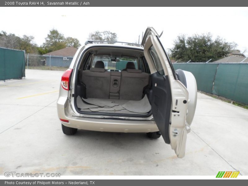 Savannah Metallic / Ash 2008 Toyota RAV4 I4