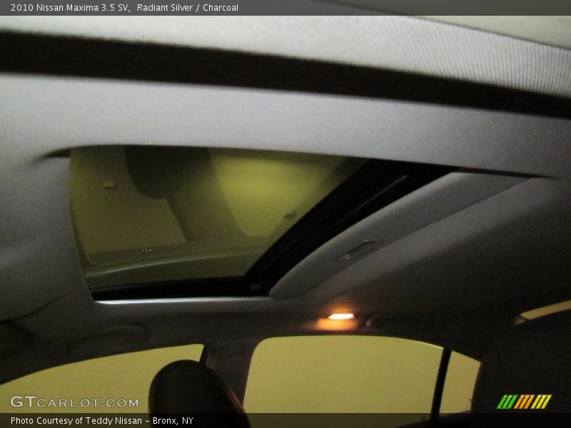 Radiant Silver / Charcoal 2010 Nissan Maxima 3.5 SV