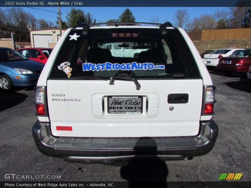 Alpine White / Gray 2002 Isuzu Rodeo SE