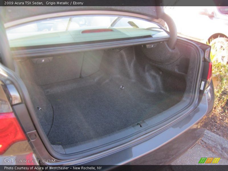 Grigio Metallic / Ebony 2009 Acura TSX Sedan