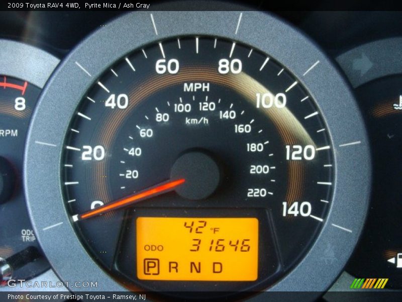 Pyrite Mica / Ash Gray 2009 Toyota RAV4 4WD
