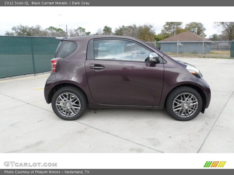  2012 iQ  Black Currant Metallic