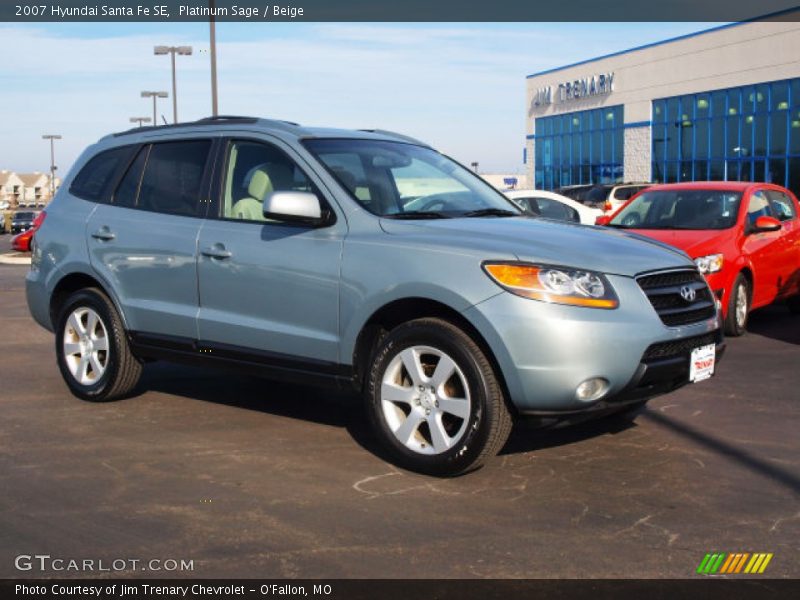 Platinum Sage / Beige 2007 Hyundai Santa Fe SE