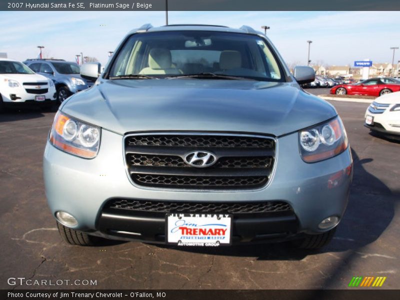 Platinum Sage / Beige 2007 Hyundai Santa Fe SE