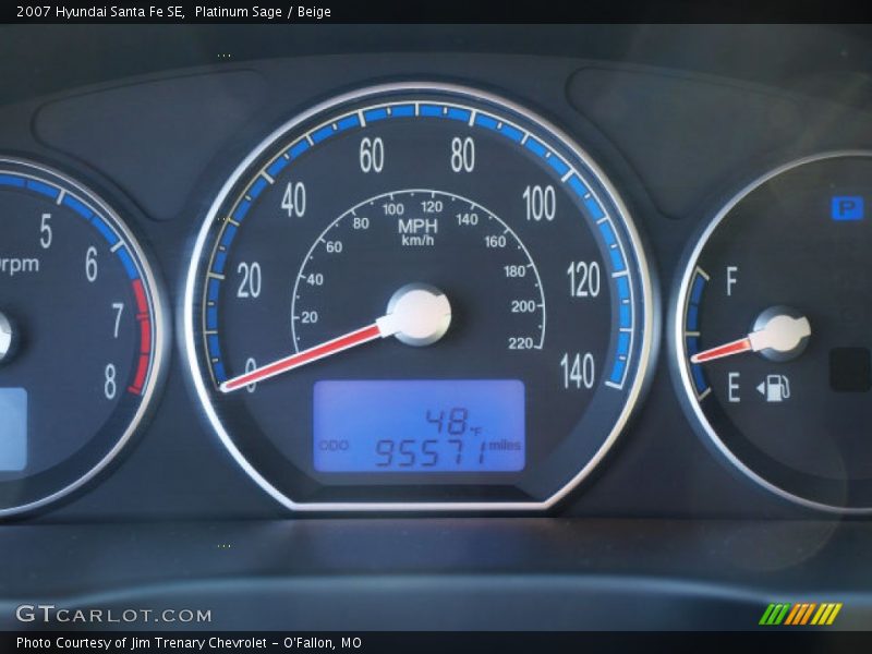 Platinum Sage / Beige 2007 Hyundai Santa Fe SE