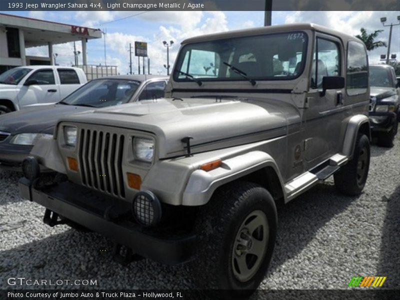 Light Champagne Metallic / Agate 1993 Jeep Wrangler Sahara 4x4