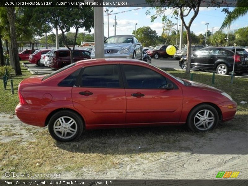 Autumn Orange Metallic / Dark Charcoal 2000 Ford Focus SE Sedan