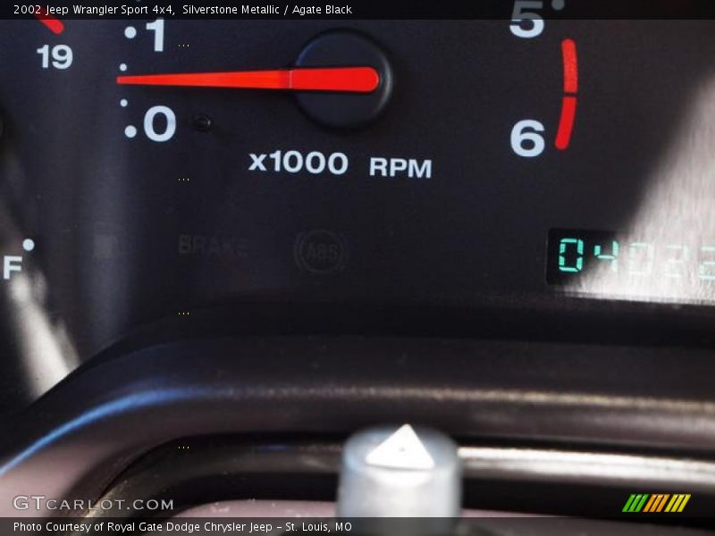 Silverstone Metallic / Agate Black 2002 Jeep Wrangler Sport 4x4
