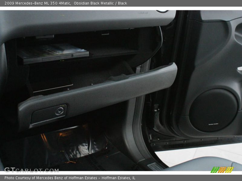Obsidian Black Metallic / Black 2009 Mercedes-Benz ML 350 4Matic