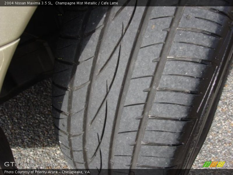 Champagne Mist Metallic / Cafe Latte 2004 Nissan Maxima 3.5 SL