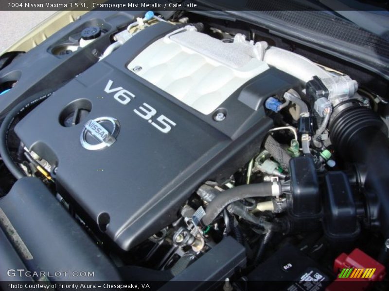 Champagne Mist Metallic / Cafe Latte 2004 Nissan Maxima 3.5 SL